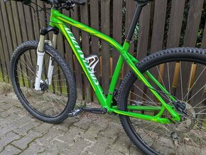 Specialized Rockhopper 29" L - 8