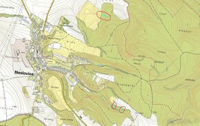 Prodám lesní pozemky v k.ú. Neslovice - 8