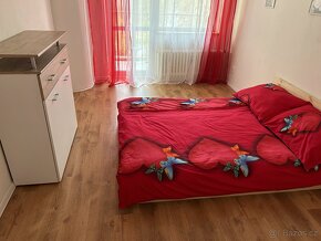 Apartmán Desná Jiz. hory -Vánoce a Silvestr ještě volný - 8