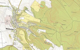 Prodám lesní pozemky v k.ú. Neslovice - 8