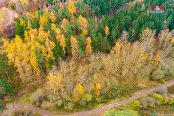 Prodej lesa, 2921 m², Tuchořice - 8