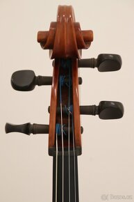 Violoncello - 8