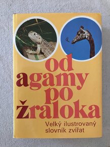 Od agamy po žraloka. Velký ilustr. slovník zvířat. - 8