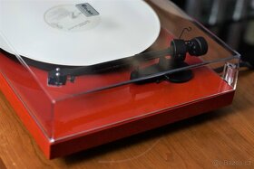 PRO-JECT DEBUT III COLOR s new SUMIKO OYSTER - 8