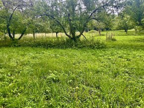 Stavební pozemek 3600 m2, obec Nemojany, okr. Vyškov - 8