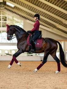 Equestrian Stockholm New Maroon DL a VS - 8