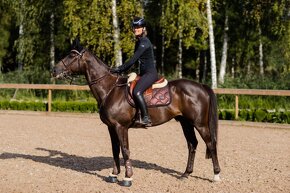 Equestrian Stockholm Mahogany Glimmer DL a PVS - 8