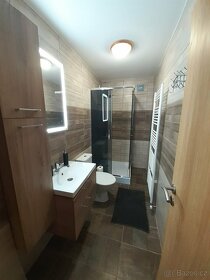 Apartmán s Privátní Vířivkou v Bzenci - 8