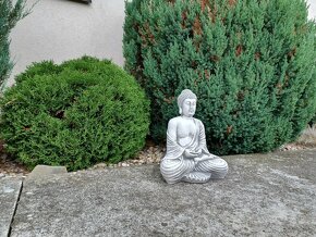 Nový střední Buddha z betonu - výška 40 cm - 8