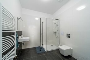 elegantní horský apartmán 3+kk - Mariánská Hora, Albrechtice - 8