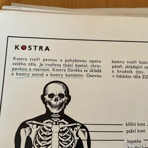 Biologie člověka v obrazech- 1976 - 8