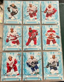 Hokejové kartičky Upper Deck Allure, Artifacts, Ice, Trilogy - 8