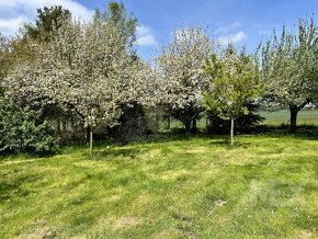 Prodej stavebního pozemku 3538 m², obec Březovice u Hořic - 8