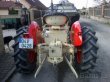 ZETOR 25A R.V.1956 - 9