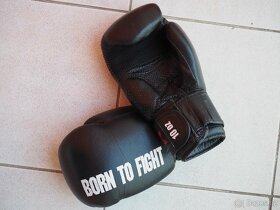 MUAY THAI - kompletní výbava - 9