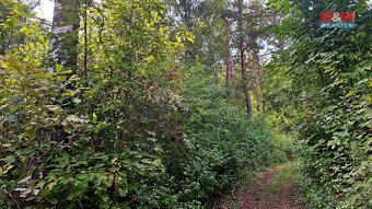 Prodej chaty a rekreační areál, 10875 m², Úštěk - 9