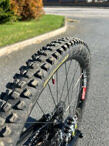 Canyon Torque CF7 2022 L - 9