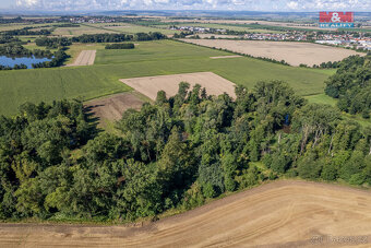 Prodej lesa, 2252 m², Horka nad Moravou - 9