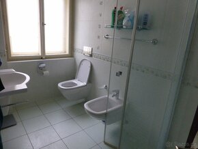 Pronájem 3+kk (98m2)/ apartment to rent, Praha-centre - 9