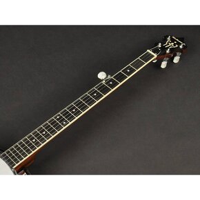 5-strunné banjo Richwood RMB-605 - 9