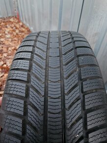 Zimní alu kola Triglav 19" Škoda Kodiaq 235/50 R19 - 9