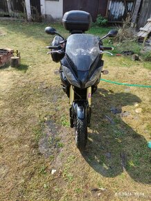 Triumph Tiger 1050 ABS 2007 - 9