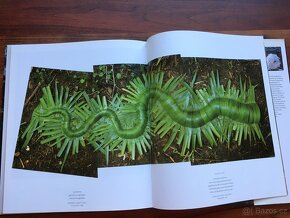 Andy Goldsworthy - Zweitausendeins - 9