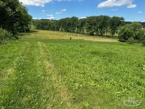 Prodej pozemkku o velikosti 7.273 m2 v obci Třeboc, Rakovník - 9