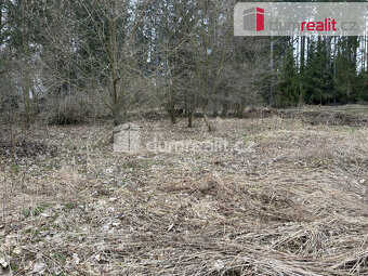 Prodej pozemku k výstavbě rodinného domu či rekreačního obje - 9