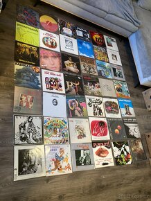 LP / Vinyl desky - cca 600 kusů (Punk , Rock , Metal , atd ) - 9