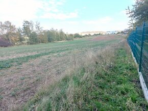 Prodej stavebního pozemku, 1976 m² Zbůch - 9