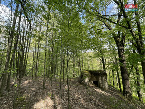 Prodej zahrady, 2545 m², Chrastava, Andělská Hora - 9