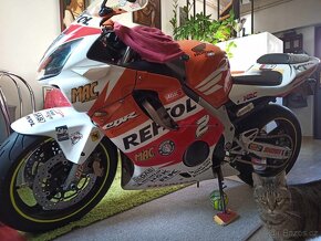 HONDA CBR600 F4i Sport - 9