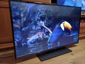 4K Smart TV 43" Panasonic TX-43GX550E-úhlopříčka 108cm - 9