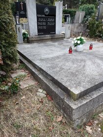 Hrobové místo a hrob Brno - 9