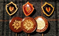 Odznaky - FFP 1983 - 1984 (ČSSR) - 9