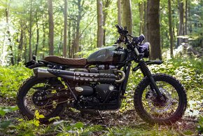 Triumph SCRAMBLER 900 2017 - 9