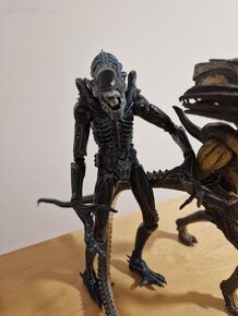 Aliens - Genocide Red Queen, Predalien Hybrid, Xenomorph - 9