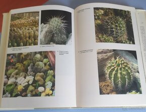 Lovec kaktusů - Alberto Vojtěch Frič - 9