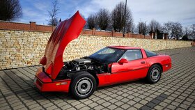 Chevrolet Corvette C4 L83 5.7 V8 1984 - 9