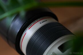 Canon EF 70-200mm F/2.8 L IS III USM - 9