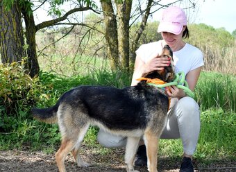 JULLY K ADOPCI - krásná mladá přátelská NO - 9