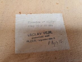 ak.malíř Václav Vejr – Blata, perfektní stav, sklo - 9