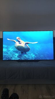 LG OLED55B9PLA

Zamluveno - 9