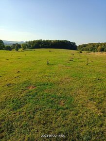 Louka,pozemek, 9,5 ha - 9