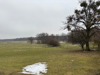 stavební pozemek o rozloze 1582 m² v Kostelci u Heřmanova Mě - 9