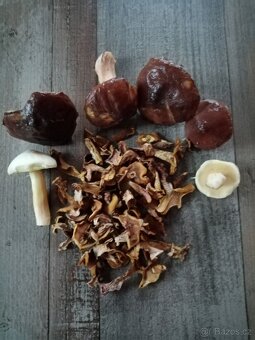 SMĚS HŘIBOVITÉ - kvalitní sušené houby s osvědčením - 9