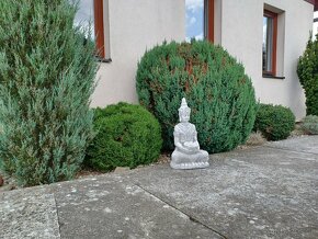 Nový VELKÝ Buddha z betonu - výška 63 cm - 9