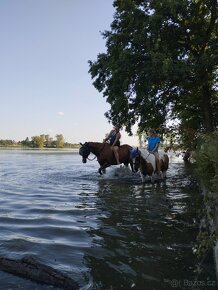 Strakatý pony valášek - 9