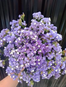 sušená statice sinuata,limonka, sušené květiny - 9